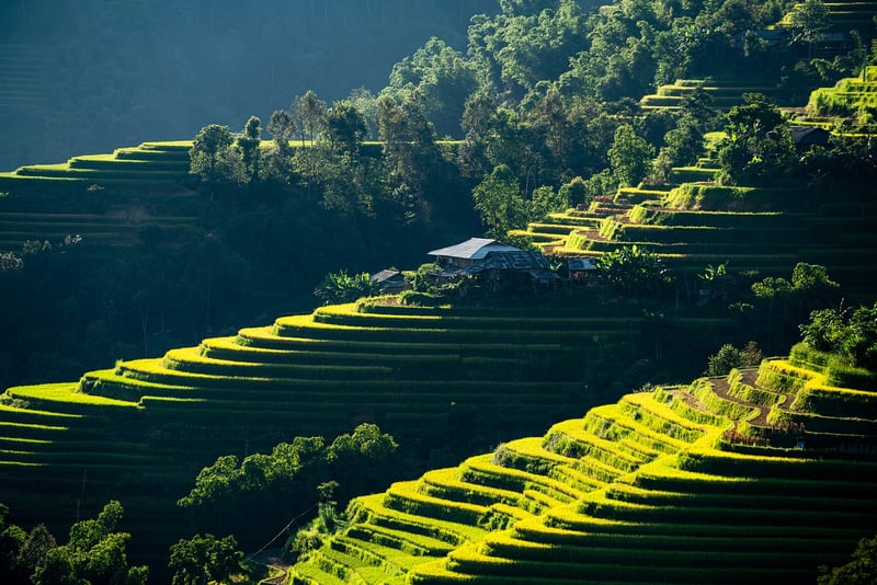 Vacation Rental Apartment